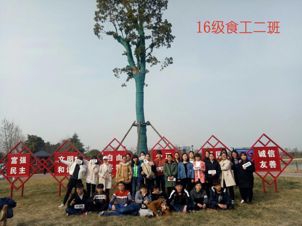 212B8 212B8